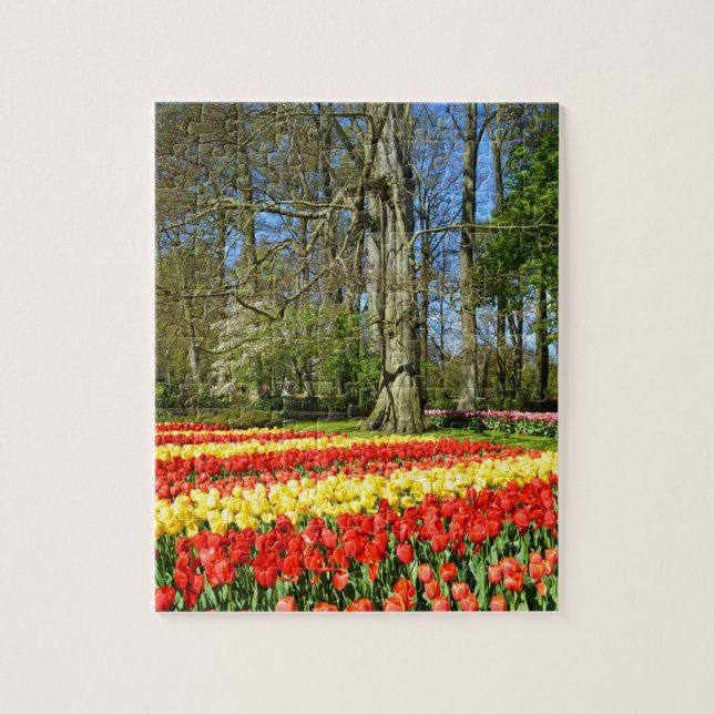 Rote und gelbe Tulpen (Vertikal)