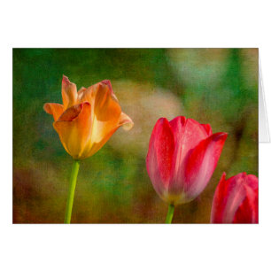 Rote und gelbe Tulpen auf texturiertem Hintergrund