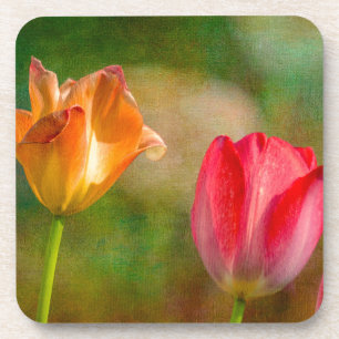 Rote und gelbe Tulpen auf texturiertem Hintergrund Getränkeuntersetzer