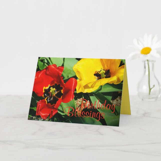 Rote und gelbe Tulpen Geburtstagskarte Karte (Kleine Pflanze)