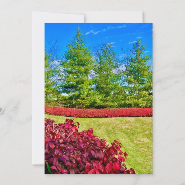 Rote und grüne Ferienkarte  Feiertagskarte (Vorderseite)