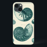 Rote und grüne Seashell-Kunst iPhone 13 Hülle<br><div class="desc">Der Künstler Denis Diderot ist begabt und bekannt für seine großartigen Bilder des Meereslebens. In diesem lebhaften Bild fängt er zwei rot-grüne Muscheln in ihrem natürlichsten Stil ein. Conches werden oft wie diese beiden Muscheln geknackt und in einem sepia aussehenden Ton. Holen Sie sich heute Ihr Muschelprodukt und Sie können...</div>