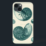 Rote und grüne Seashell-Kunst iPhone 13 Hülle<br><div class="desc">Der Künstler Denis Diderot ist begabt und bekannt für seine großartigen Bilder des Meereslebens. In diesem lebhaften Bild fängt er zwei rot-grüne Muscheln in ihrem natürlichsten Stil ein. Conches werden oft wie diese beiden Muscheln geknackt und in einem sepia aussehenden Ton. Holen Sie sich heute Ihr Muschelprodukt und Sie können...</div>