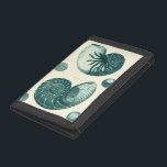 Rote und grüne Seashell-Kunst Tri-fold Portemonnaie<br><div class="desc">Der Künstler Denis Diderot ist begabt und bekannt für seine großartigen Bilder des Meereslebens. In diesem lebhaften Bild fängt er zwei rot-grüne Muscheln in ihrem natürlichsten Stil ein. Conches werden oft wie diese beiden Muscheln geknackt und in einem sepia aussehenden Ton. Holen Sie sich heute Ihr Muschelprodukt und Sie können...</div>