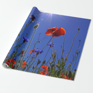 Rote und lila Rose, die sich einem blauen Himmel u Geschenkpapier