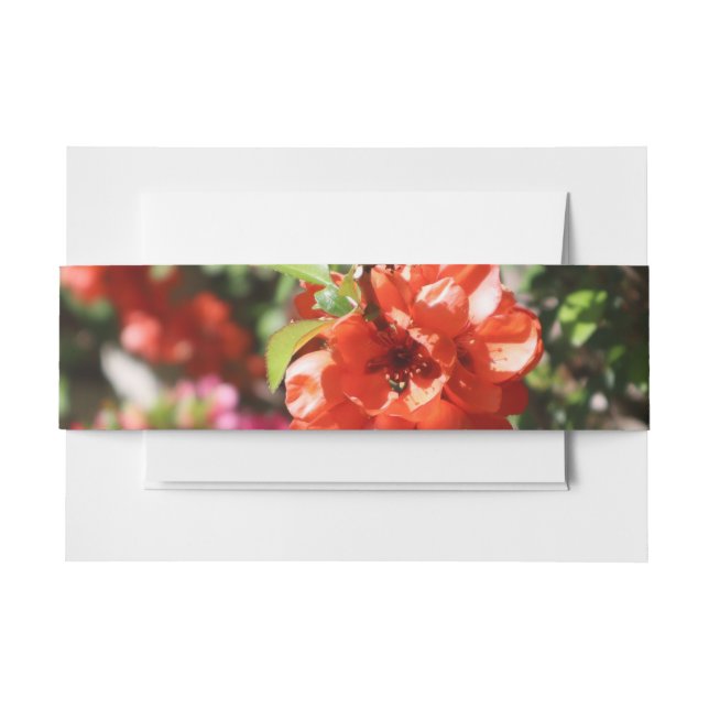Rote und rosa Blumenzwiebeln Einladungsbanderole (Vorderseite Beispiel)