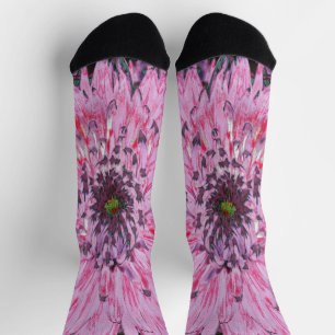 Rote und rosa Dahlienblüte Socken