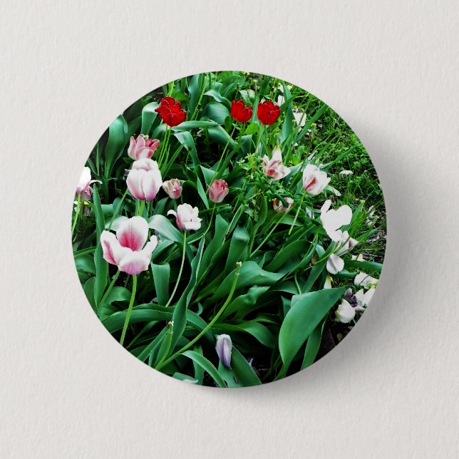 Rote und rosa Tulips Bilder Button (Vorderseite)
