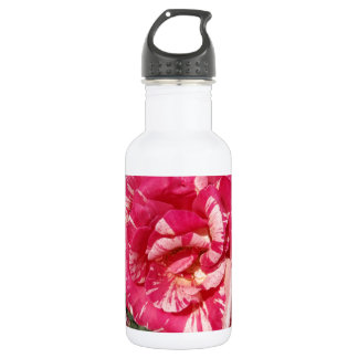 Rote und SahneRose Trinkflasche