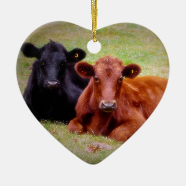 Rote und schwarze Angus-Anteil-Liebe und Keramikornament (Vorne)