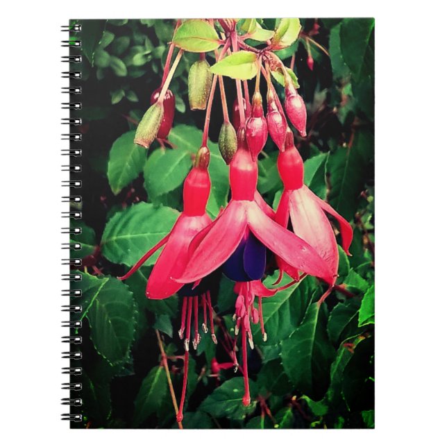 Rote und violette Blumen Notizblock (Vorderseite)