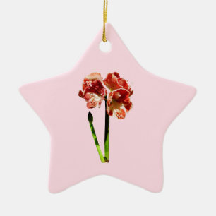 Rote und weiße Amaryllis mit Bud Keramik Ornament