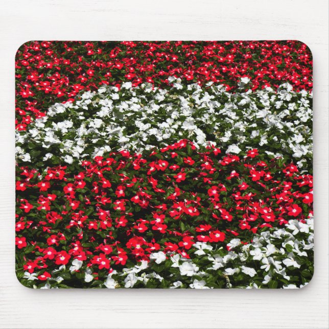 Rote und weiße Blume Mousepad (Vorne)