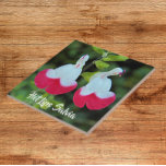 Rote und weiße Hot Lives Salvia Fliese<br><div class="desc">Keramik Kachel, die ein Foto der kleinen, rot-weißen Blume von Hot Lips Salvia, auch bekannt als Littleleaf Sage. Ein schönes, blumengeschmücktes Design! Wählen Sie Ihre Kachelgröße aus. Eine tolle Küche trivet!</div>