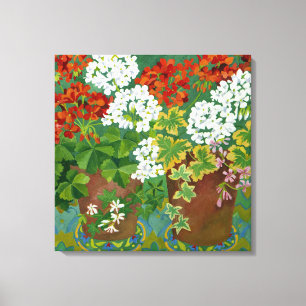 Rote und weiße Pelargonien in Töpfen 2013 Leinwanddruck