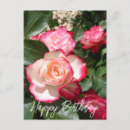 Rote und weiße Rose Blume Blumenkarte Rose Postkarte