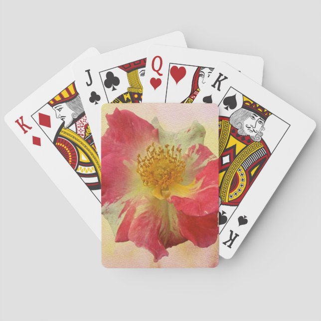 Rote und weiße Rose Spielkarten (Rückseite)