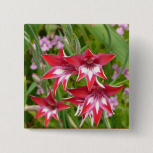Rote und weiße Schwertlilien Sommerblumen Button
