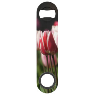 Rote und weiße sowie rosa Tulpen Speed Flaschenöffner