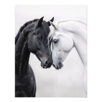 Rote und weiße Stallion Kunst