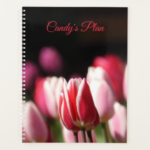 Rote und weiße Tulpe Planer