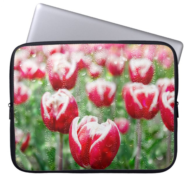 Rote und weiße Tulpen mit Regentropfen Laptopschutzhülle (Vorderseite)
