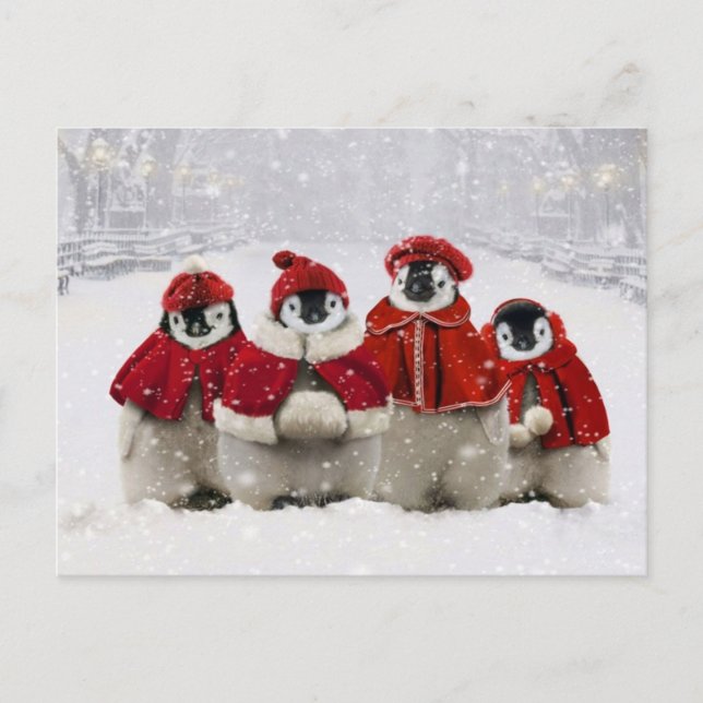 Rote und weiße Weihnachtspinguine-Design Feiertagspostkarte (Vorderseite)