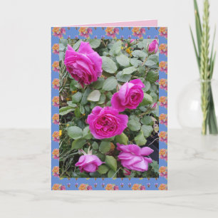 Rote Vintage-Rosen Rosengarten Blumen Karte