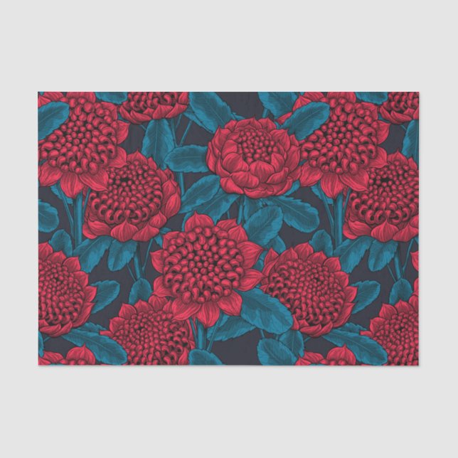 Rote Waratah-Blume Seidenpapier (Vorderseite)
