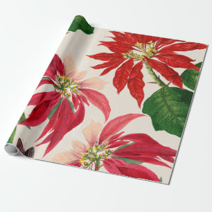 Rote Wasserfarbe Poinsettia Blumengrün Geschenkpapier
