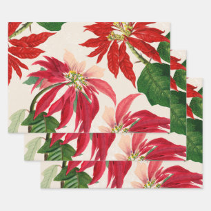 Rote Wasserfarbe Poinsettia Blumengrün Geschenkpapier Set