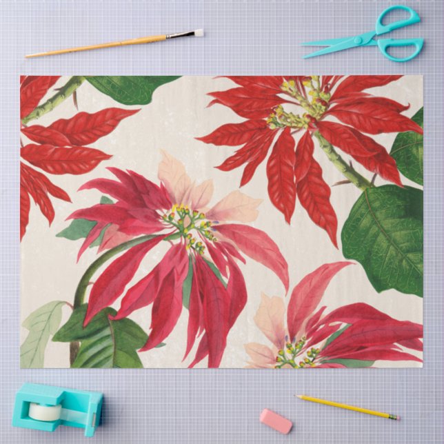 Rote Wasserfarbe Poinsettia Blumengrün Seidenpapier (Basteln)