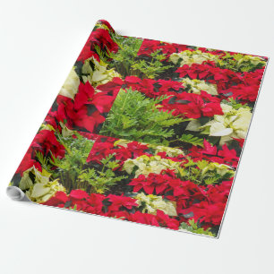 Rote WeihnachtsBlume Poinsettia Geschenkpapier