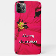 Rote Weihnachtspoinsettie