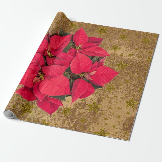 Rote Weihnachtssterne, goldene Sterne auf abstrakt Geschenkpapier (Ungerollt)