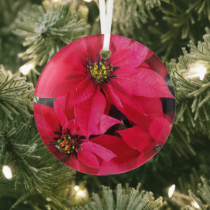 Rote Weihnachtssterne Ornament Aus Glas