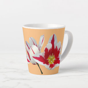 Rote weiße Tulpen Nahaufnahme Orange Latte Tasse