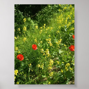 Rote Wildblumen im Sommerwiesen-Poster Poster