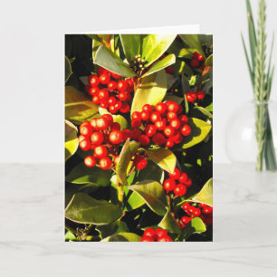 Rote Winterbeeren in Jersey Feiertagskarte
