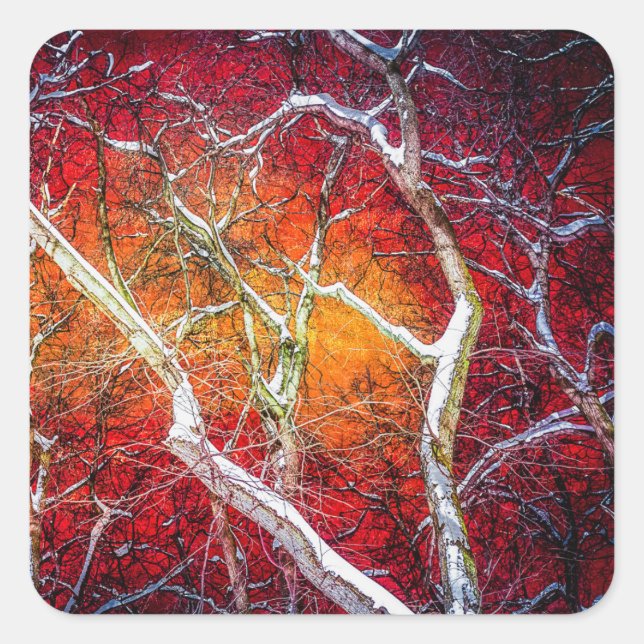 Rote Winternacht Quadratischer Aufkleber (Vorderseite)