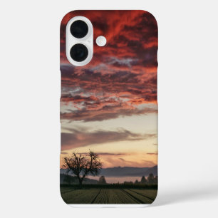Rote Wolken Sonnenuntergang Bäume Grüne Felder iPhone 16 Hülle