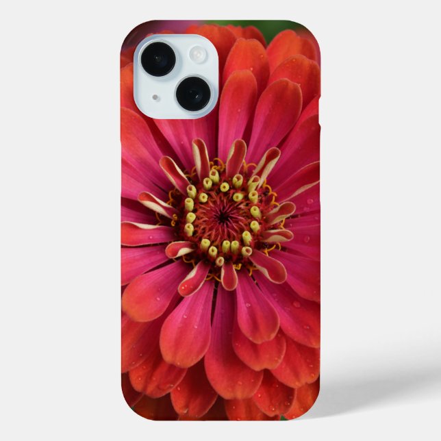 Rote Zinnie - florale iPhone 15 Hülle (Rückseite)