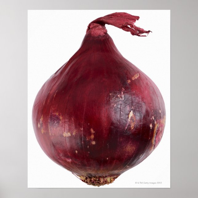 Rote Zwiebel auf weißem Hintergrund abgeschieden,  Poster (Vorne)