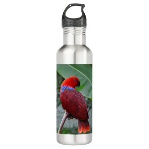 Roteklektischer Papagei Edelstahlflasche