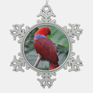 Roteklektischer Papagei Schneeflocken Zinn-Ornament