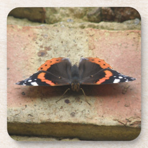Roter Admiral Butterfly Cork Untersetzer