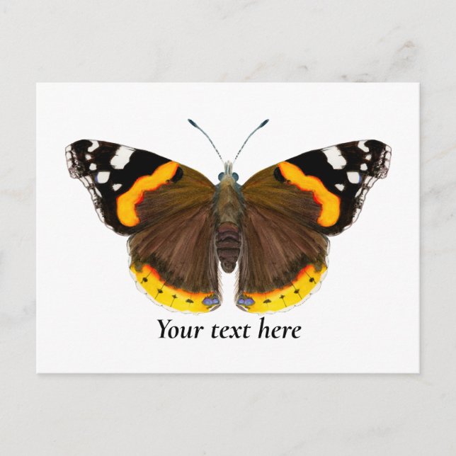 Roter Admiral Butterfly Kulturpass Postkarte (Vorderseite)