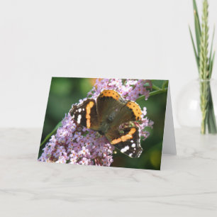 Roter Admiral Butterfly und Buddleia Grußkarte Karte