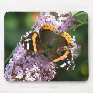 Roter Admiral Butterfly und Buddleia Mousepad