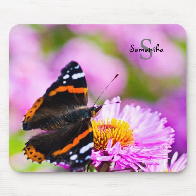 Roter Admiral-Schmetterling auf Blume Mausmatte Mousepad (Vorne)